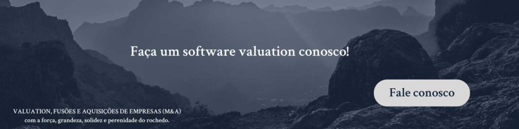Software valuation
