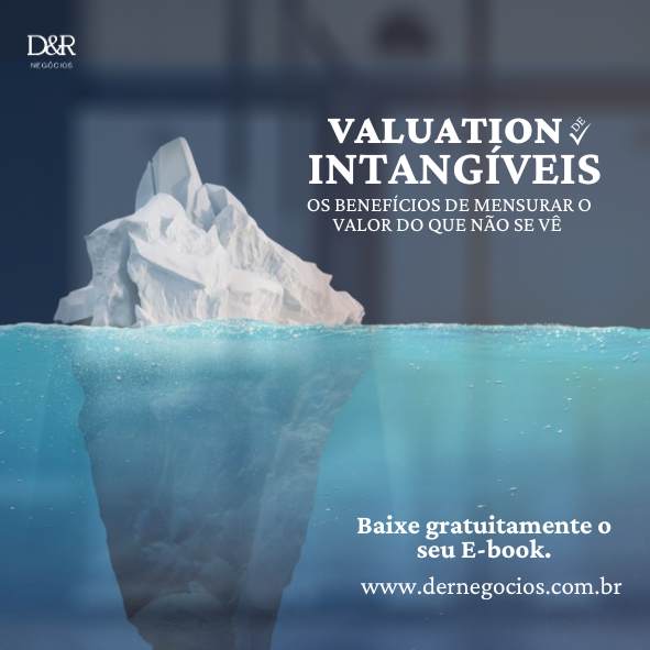 Ebook Avaliação econômico-financeira de Intangíveis